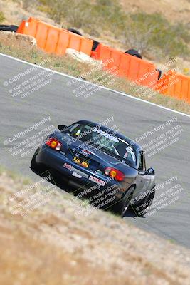 media/May-14-2023-Speed Ventures (Sun) [[8a95a37b3a]]/Green/the bowl/